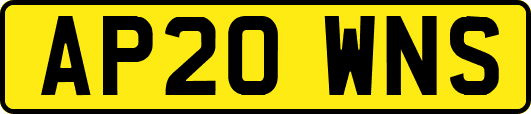 AP20WNS