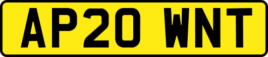 AP20WNT