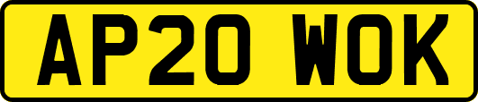 AP20WOK