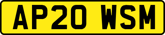 AP20WSM