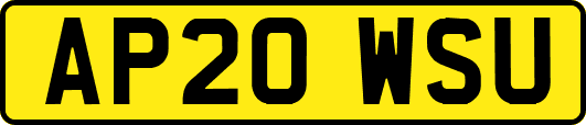 AP20WSU