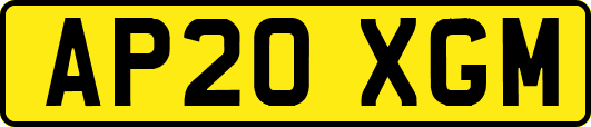 AP20XGM