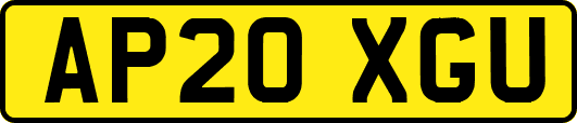 AP20XGU