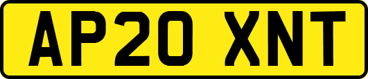 AP20XNT