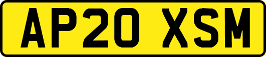 AP20XSM