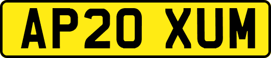 AP20XUM