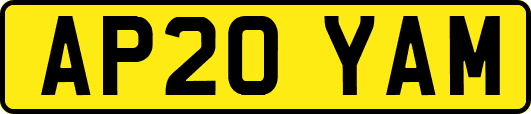 AP20YAM