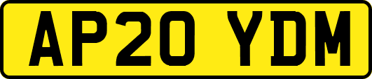 AP20YDM