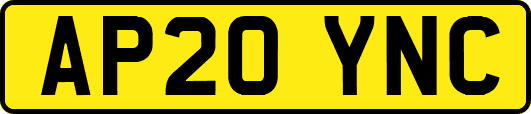 AP20YNC