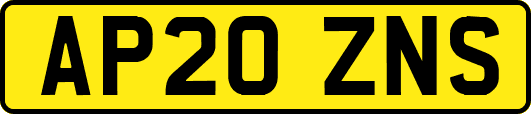 AP20ZNS