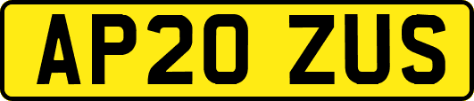 AP20ZUS