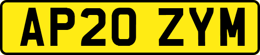 AP20ZYM