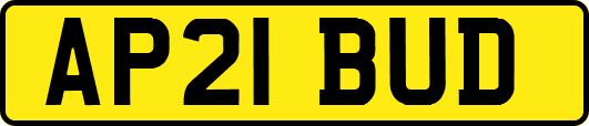 AP21BUD