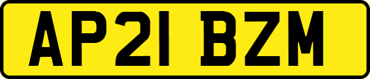 AP21BZM