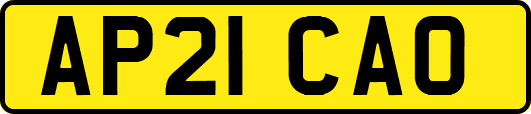 AP21CAO