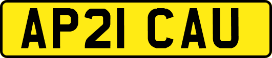 AP21CAU