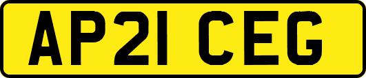 AP21CEG