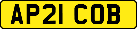 AP21COB