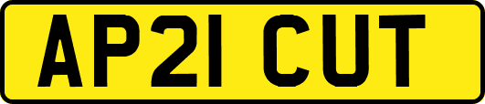AP21CUT