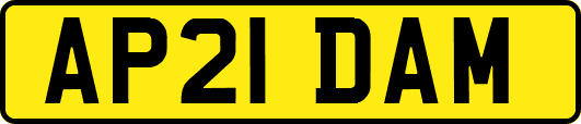 AP21DAM
