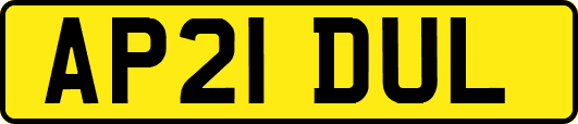 AP21DUL