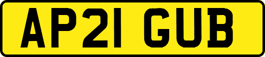 AP21GUB