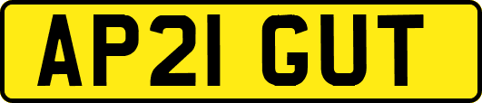 AP21GUT