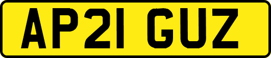 AP21GUZ