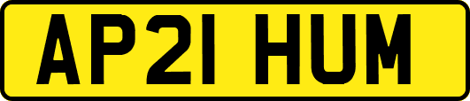 AP21HUM