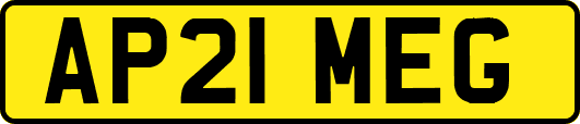 AP21MEG