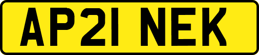AP21NEK