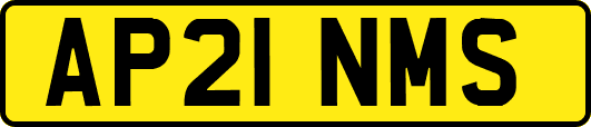 AP21NMS