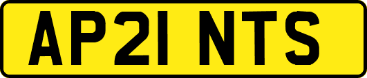 AP21NTS