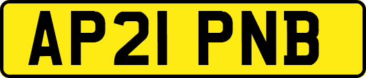 AP21PNB