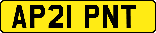 AP21PNT