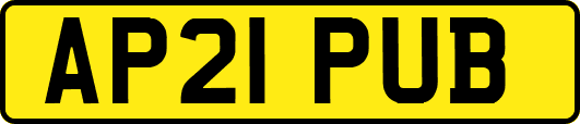 AP21PUB