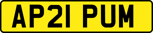 AP21PUM