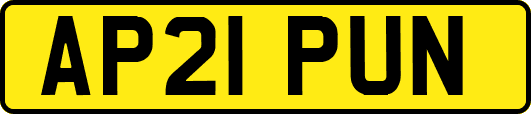 AP21PUN