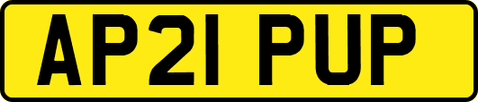 AP21PUP
