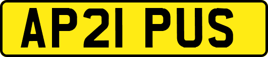 AP21PUS