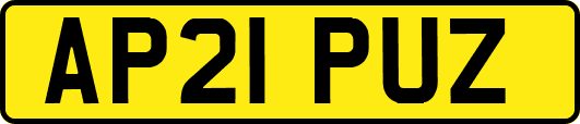 AP21PUZ