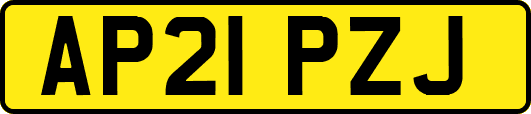 AP21PZJ