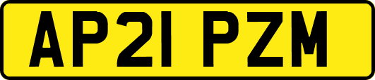 AP21PZM