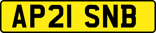 AP21SNB