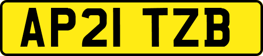 AP21TZB
