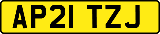 AP21TZJ