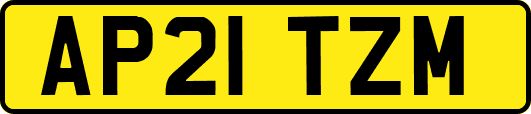AP21TZM