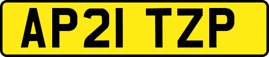 AP21TZP