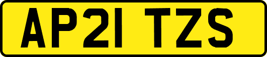 AP21TZS