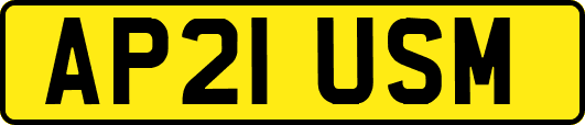 AP21USM